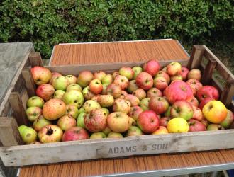 20171007115302 IMG 1263